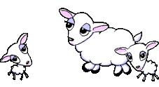 Gif mouton
