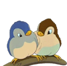 Gif oiseau